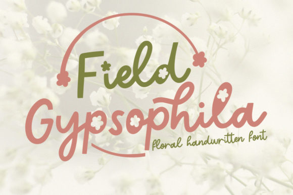 Field Gypsophila Font for Modern Web Design