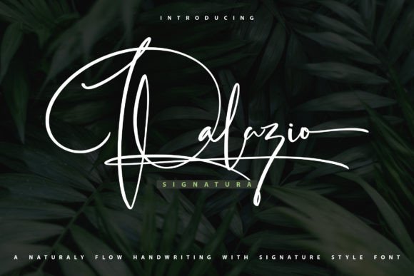 Palazio: The Script Font That Elevates Digital Branding