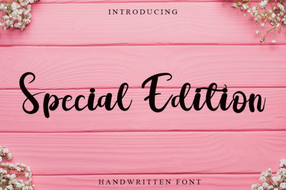Special Edition Font Review for Web Design